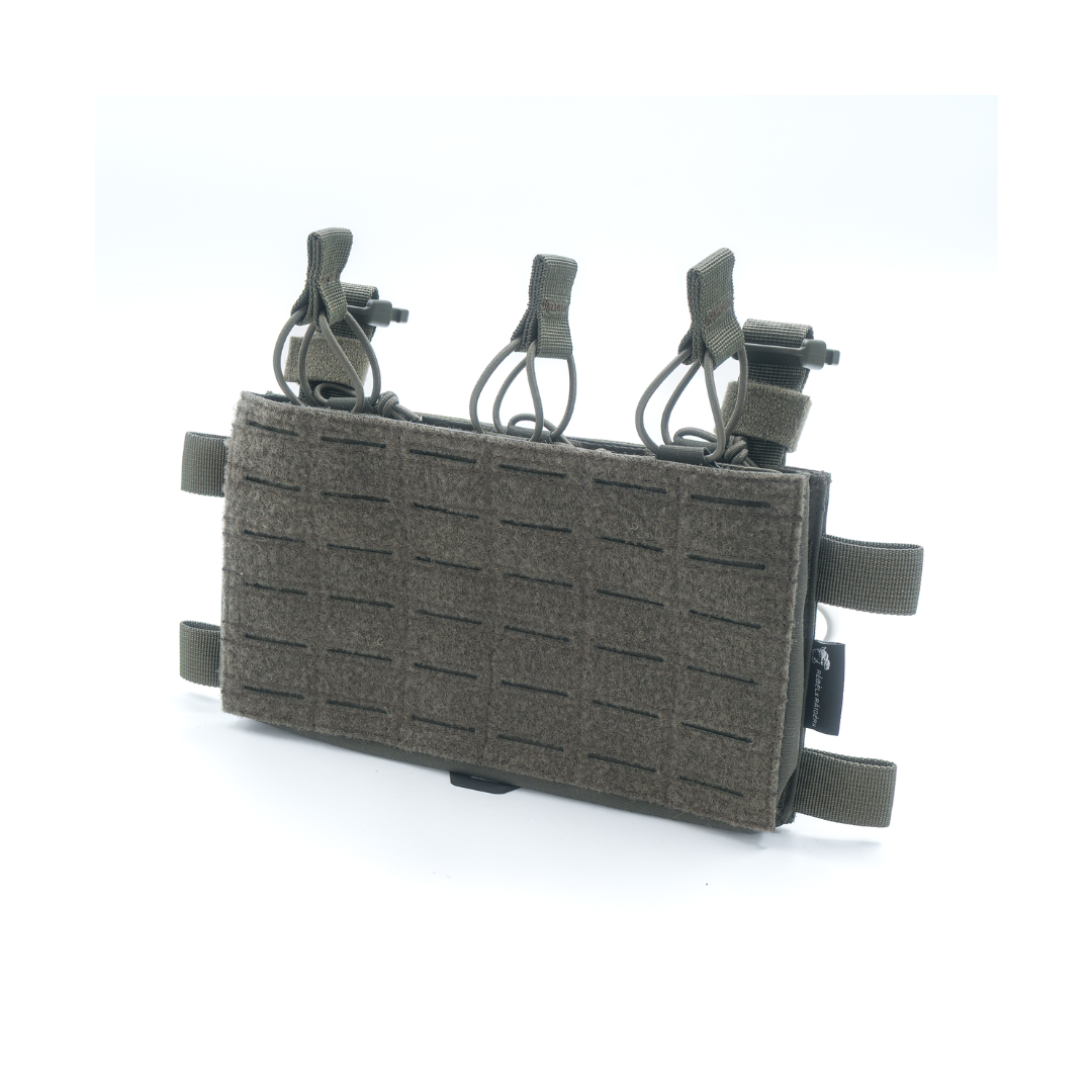 REBELs RAIDERs - Palven Placard