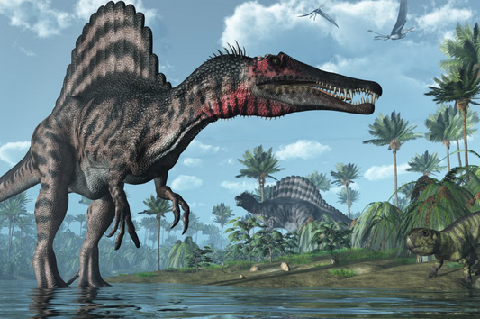 A Monster In The River: Hunting The Spinosaurus