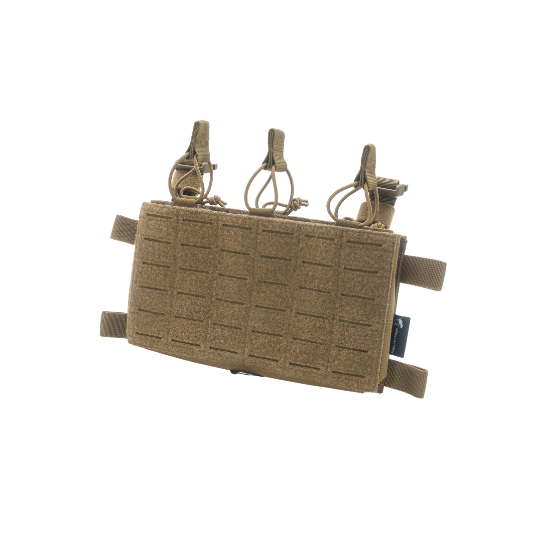 REBELs RAIDERs - Palven Placard